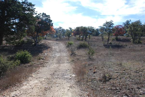 Henly Hill Ranch (1/8/2016)