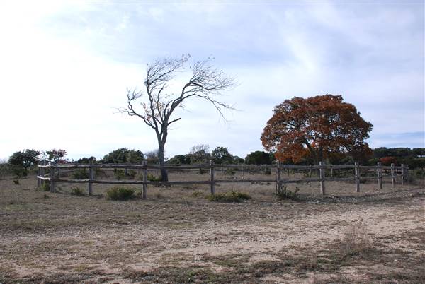 Longhorn River Ranch (12/9/2015)