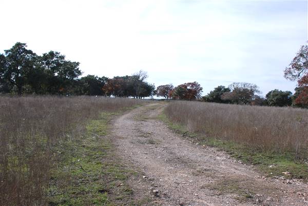 Longhorn River Ranch (12/9/2015)