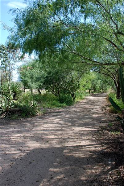 Edinburg Municipal Park (8/22/2015)