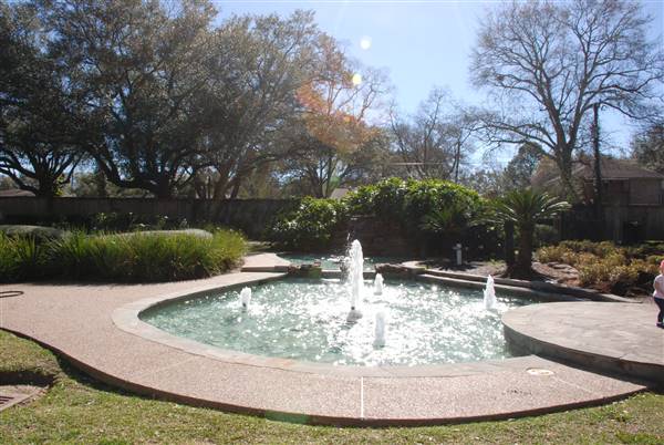 Helen's Garden (2/18/2016)