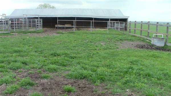 Maeshill Farm (4/18/2016)