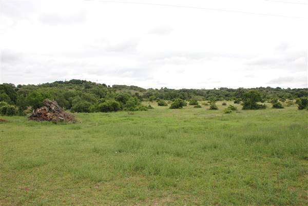 Storm Ranch (5/10/2016)