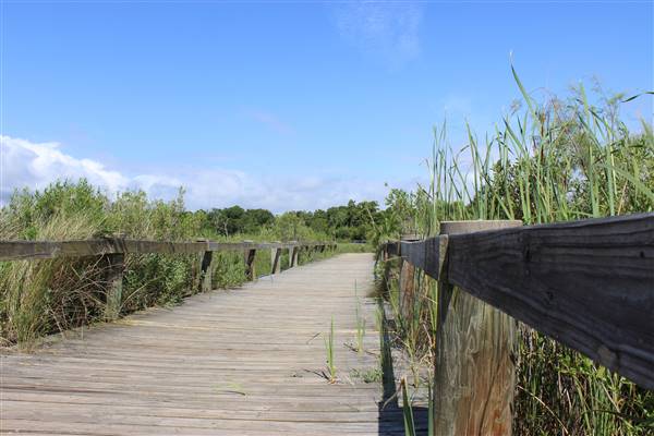 Seabrook Hike & Bike Trails (6/16/2016)