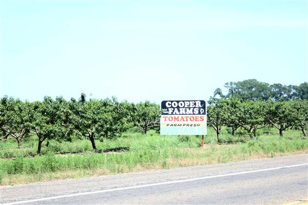 Cooper Farms (7/28/2016)