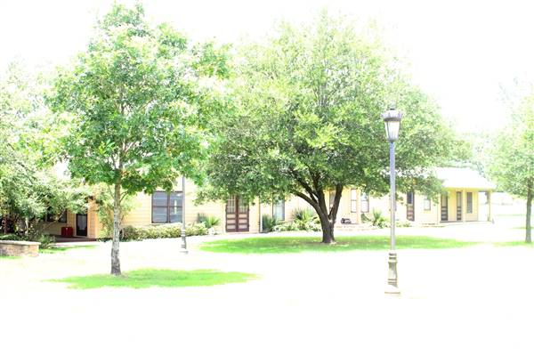 Cottonwood Terrace (7/28/2016)