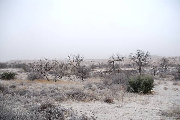 Mendota Ranch (12/13/2007)