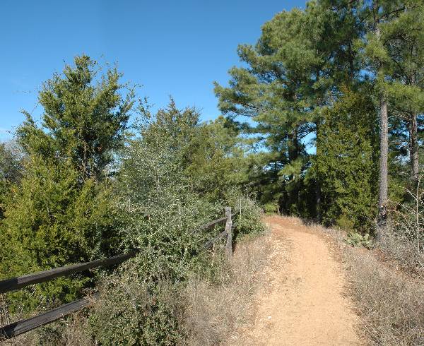 McKinney Roughs Nature Park (1/17/2008)