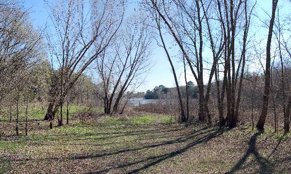 Buescher State Park (2/26/2008)