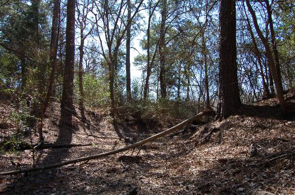 Buescher State Park (2/26/2008)