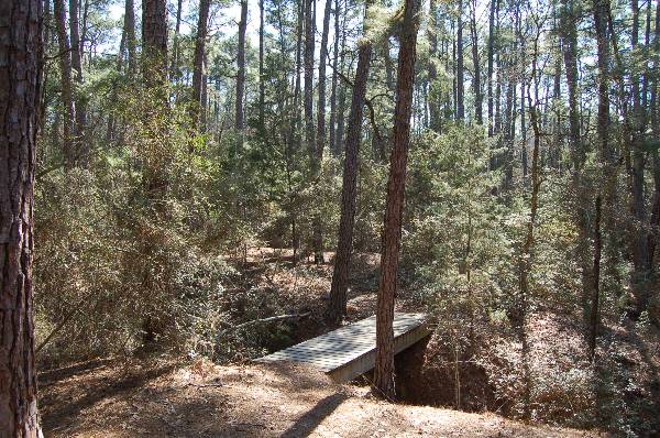 Buescher State Park (2/26/2008)