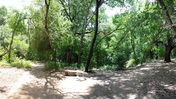 Judson Nature Trails (7/5/2018)