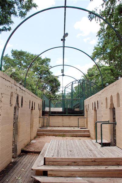 Brackenridge Park (7/5/2018)