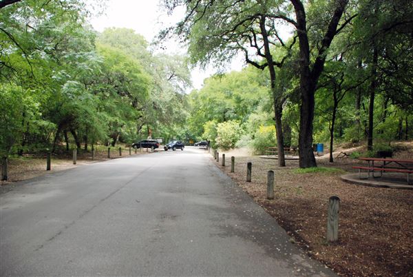 Brackenridge Park (7/5/2018)