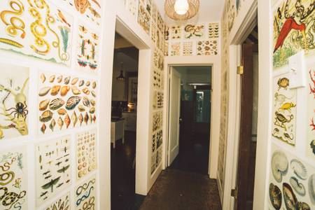 2nd Street House (1/15/2019 - Credits: Second Street)