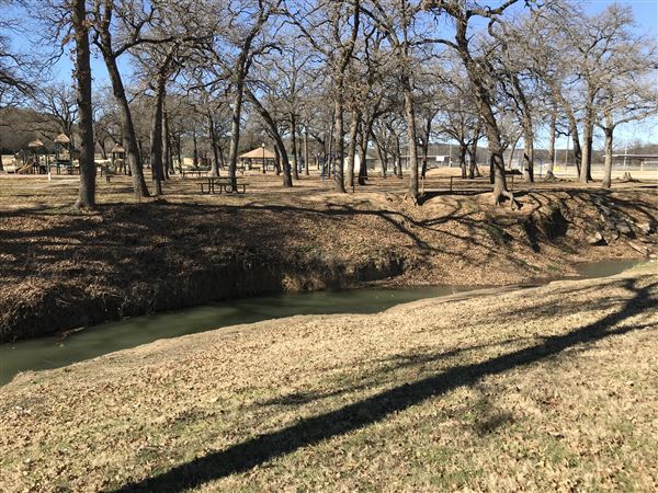 West City Park (3/12/2019 - Credits: Rose Jordan)