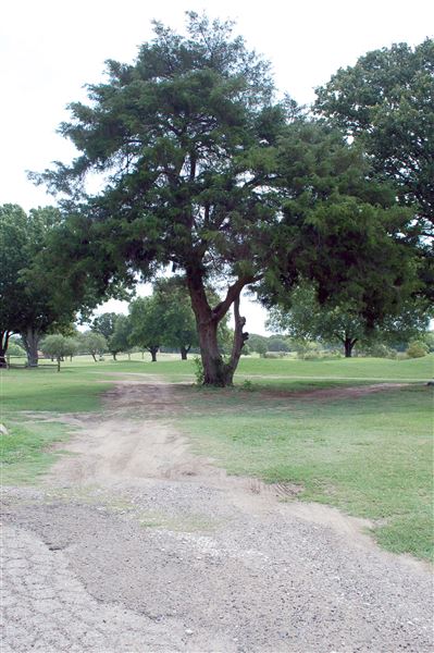 McQuinney Howell Wright Park Municipal Golf Course (6/13/2018)