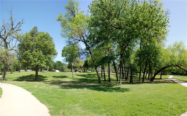 Reverchon Park (4/12/2019)