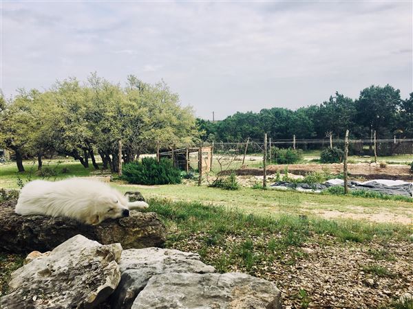 The Wildflower Country Inn & Event Center (5/2/2019)