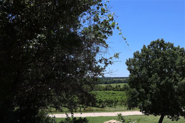 Bluff Dale Vineyards (7/17/2019 - Credits: Stephenville Tourism & Visitors Bureau)