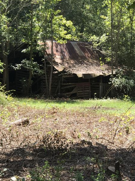 Historic Grove House (11/9/2019 - Credits: Lisa Jackson)