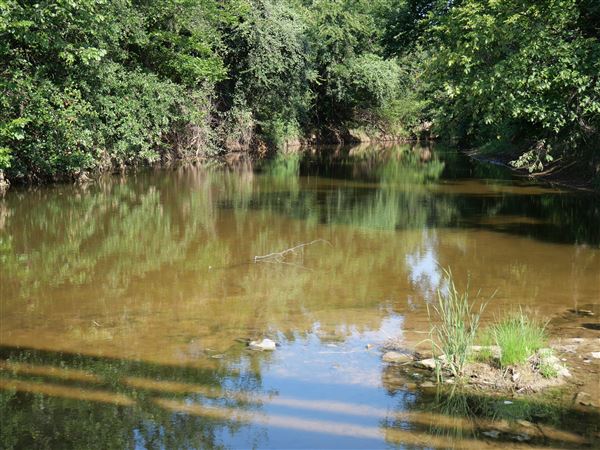 Brazos River at FM 4 Bridge (7/16/2019)