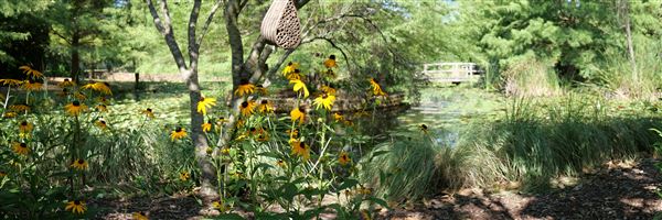 Clark Gardens Botanical Park (7/16/2019)