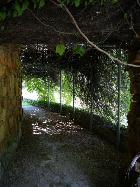 Clark Gardens Botanical Park (7/16/2019)