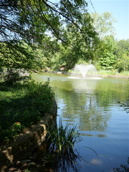 Clark Gardens Botanical Park (7/16/2019)
