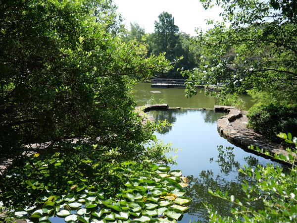 Clark Gardens Botanical Park (7/16/2019)
