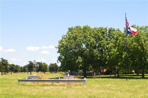 Cedar Isle Ranch (6/8/2020 - Credits: Mexia EDC)