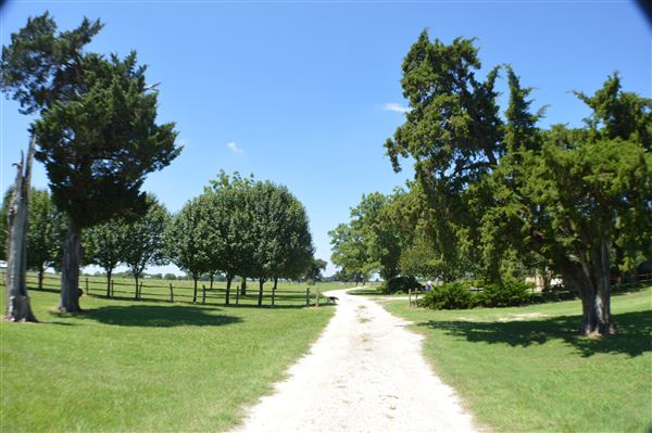 Cedar Isle Ranch (6/8/2020 - Credits: Mexia EDC)