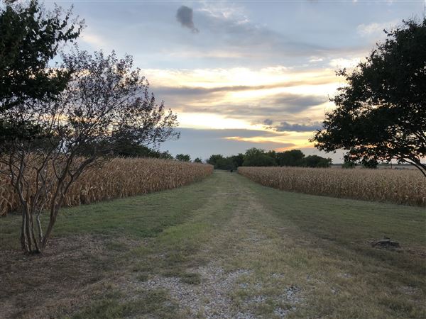 Gil Farmhouse & Cornfield (7/28/2020 - Credits: Dana Gil)