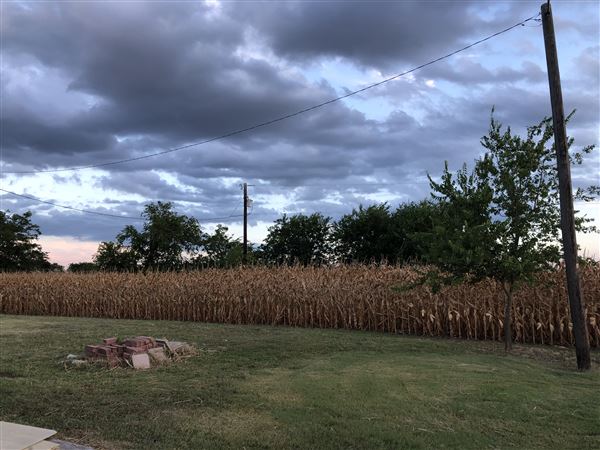 Gil Farmhouse & Cornfield (7/28/2020 - Credits: Dana Gil)