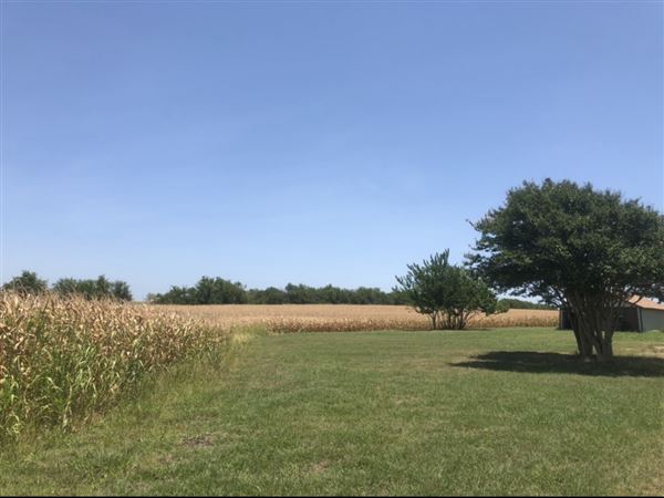 Gil Farmhouse & Cornfield (7/28/2020 - Credits: Dana Gil)