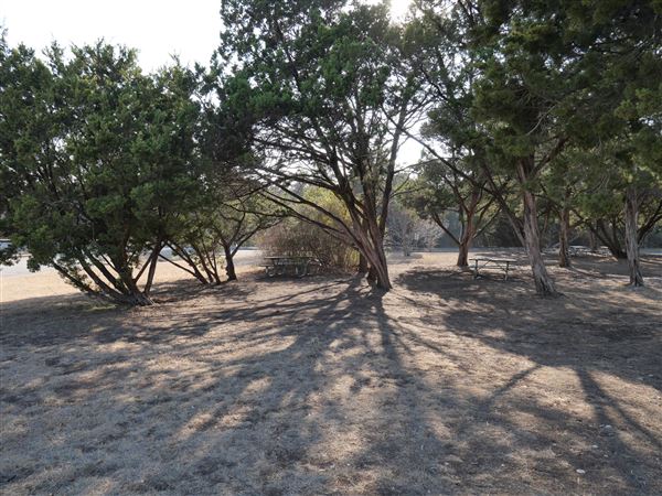 Walnut Creek Metropolitan Park (12/15/2020)