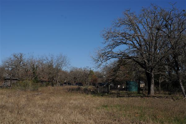 Rural Farm - Two House Property (6/7/2020)