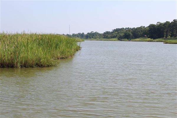 Fort Anahuac Park (1/27/2021)