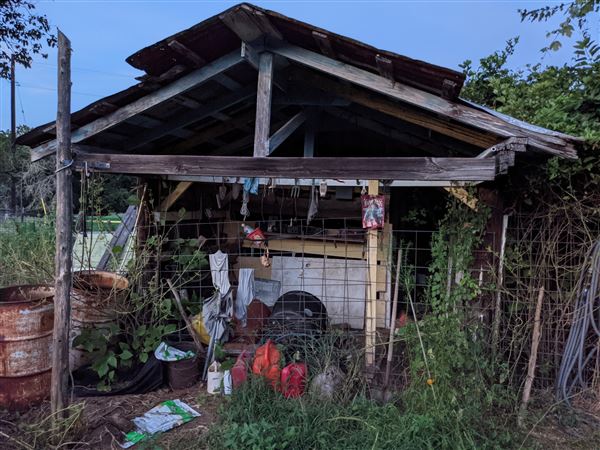 Rural Farm - Two House Property (8/12/2021 - Credits: Daniel Williams)