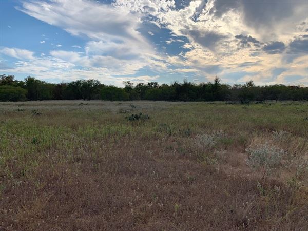 Rose Ranch (9/27/2021 - Credits: Roy Rose on my I-Phone)
