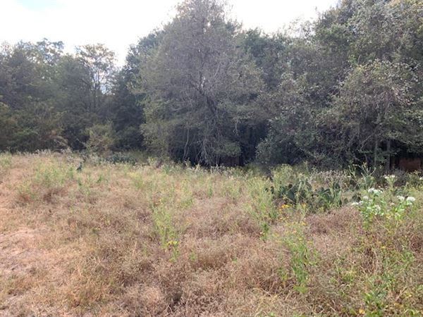 Rose Ranch (9/27/2021 - Credits: Roy Rose on my I-Phone)