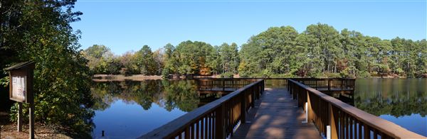 Synergy Park (11/12/2021)