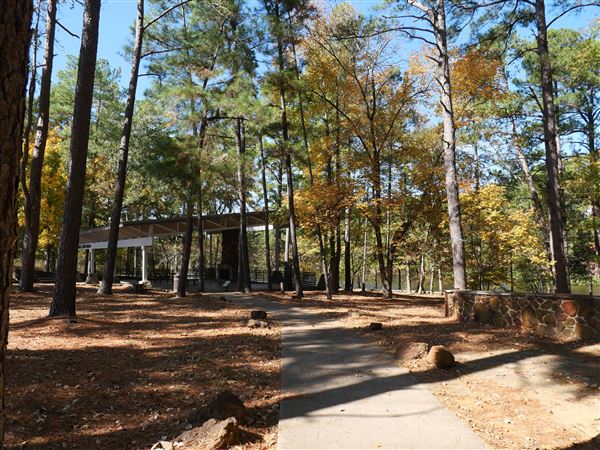 Synergy Park (11/12/2021)