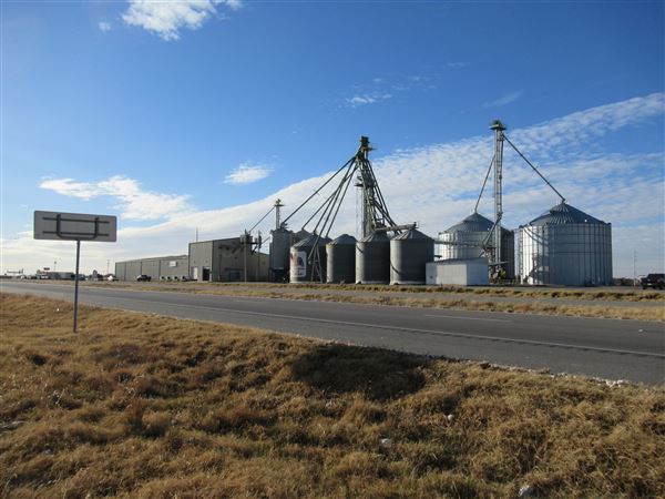 Top Tier Grain & Feed (1/21/2022 - Credits: Jane Jeschke)