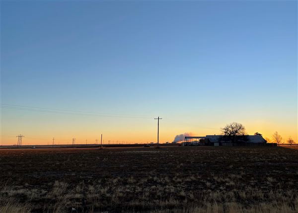 Plainview Terrain (2/1/2022 - Credits: Tori Huddleston)