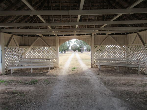Miles Cemetery (1/19/2022 - Credits: Jane Jeschke)