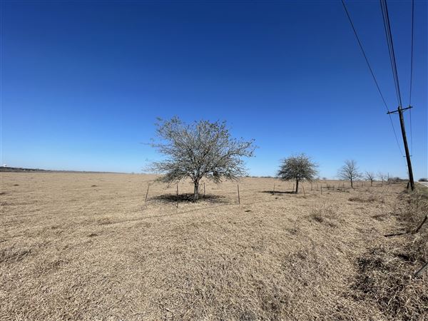 Studio Estates Acres (2/7/2022 - Credits: josephine safford)