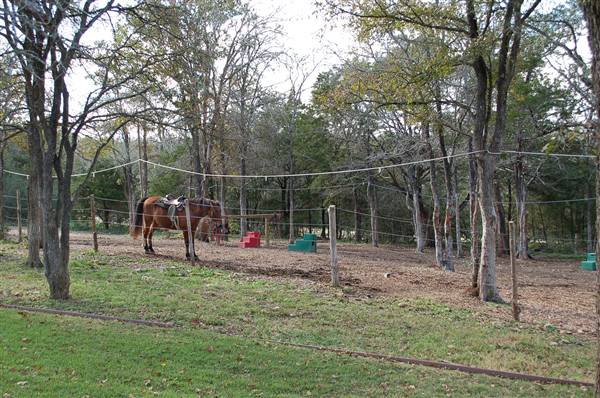 Hyatt Regency Lost Pines Resort and Spa - Renegade Equestrian Center (11/22/2009)
