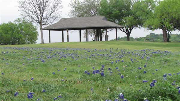 Turner Park (6/6/2022)