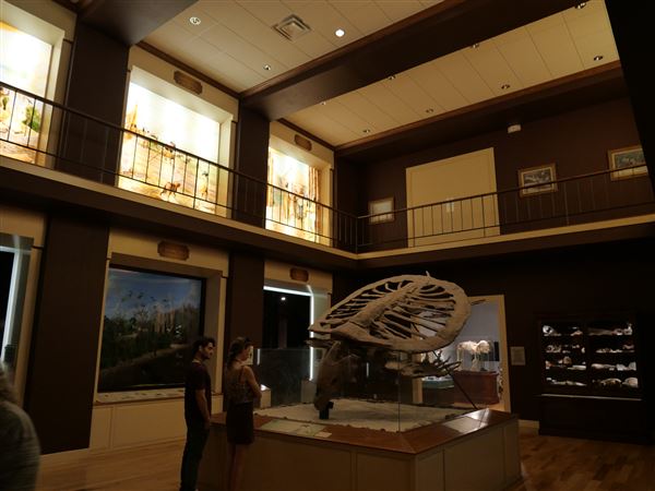 Mayborn Museum Complex (7/23/2022 - Credits: Matt Miller)
